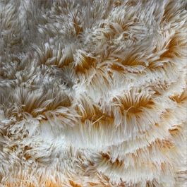 Peluche Precio Tela Peluche Parisina Relleno De Peluche Parisina