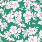 Jamaica 1.50 Estampado Flor Perfilada Verde Menta