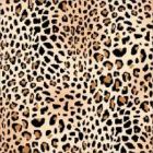Jamaica 1.50 Estampado Leopardo Negro
