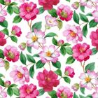Silky Estampado 1.10 Flor Mediano Blanco