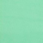 Blancos Tussor Liso Verde Limon