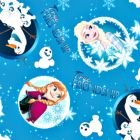 Decoracion Canasta Disney Frozen Estrellas Azul Cielo