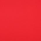 Deportivo Fitness Liso Rojo