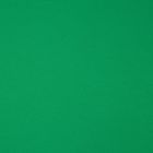 Deportivo Fitness Liso Verde Bandera