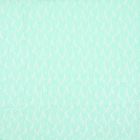 Encaje Stretch Flor Chica Verde Menta