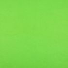 Fieltro Fieltro Liso Verde Neon