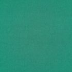 Magaly Liso Verde Bandera
