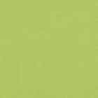 Bombay Liso Verde Lima