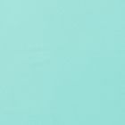 Microbrillalin Liso Verde Menta