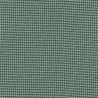Pata De Gallo Liso Verde Bandera