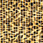 Plastico Antiderrapante Cheetah Estampado