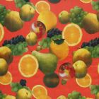 Plástico Charomesa Frutas Temporada Naranja