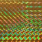 Caja de Plastico Contact Holograma Liso Amarillo Oro con 6 rollos