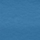 Polar Polar Liso Azul Turquesa