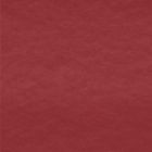 Polar Polar Liso Rojo