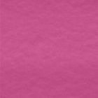 Polar Polar Liso Rosa Fiusha