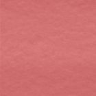 Polar Antártica Liso Rosa Coral