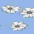 Rayon Chalis Flor Grande Azul Cielo