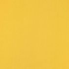 Razo Charmusse Liso Amarillo Mango