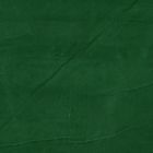 Terciopelo Sintetico Liso Verde Bandera