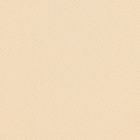 Tergal Stretch Liso Café Beige