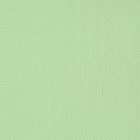 Tul 70 Liso Verde Limón