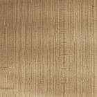 Decoración Papel Tapiz Bamboo