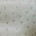 Decoración Papel Tapiz Avestruz