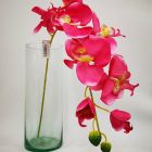 Orquídea Beauty Mod.FE-1-1185