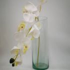 Orquídea Blanca Mod.FE-1-1185