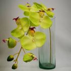 Orquídea Verde Mod. FE-1-1185