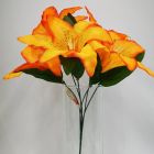 Lily Naranja Mod.FE-56701B