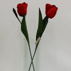 Tulipán Rojo Mod.TM-T0284-58008B
