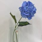 Hortensia Azul Mod.4325
