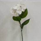 Hortensia Blanca Mod.56612B