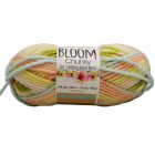 Estambre Bloom Chunky Boca De Dragón Grueso #5 1114-13