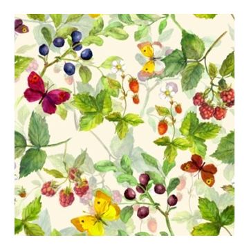 Silky Cocina Mariposa Hueso