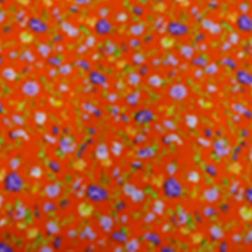 California Enredadera Naranja