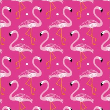 Silky Estampado 1.10 Flamingo Rosa Fiusha
