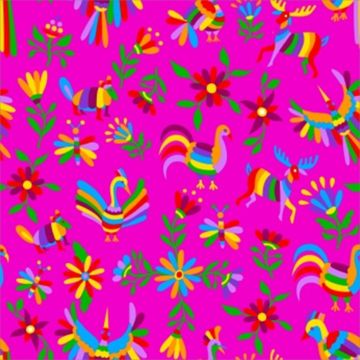 Blancos Mantelina Estampada Pajaro Grande Rosa Fiusha