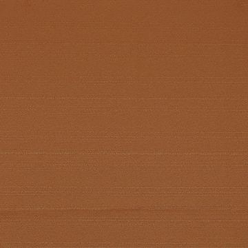 Cortina Olimpia Liso Cafe Kaki