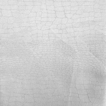 Decoración Córcega Texturas Gris Plata