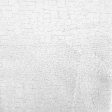 Decoración Córcega Texturas Blanco