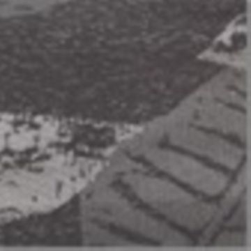 Decoracion Jackard Ahulado Hoja Cafe Chocolate