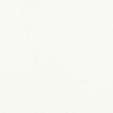 Dublin Dublin Liso Hueso