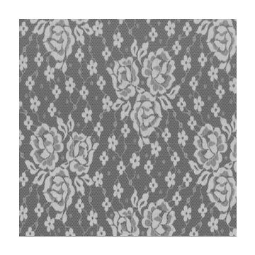 Encaje Canesu Flor Grande Blanco