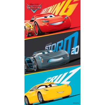 Felpa Toalla Disney Cars Gris Oxford