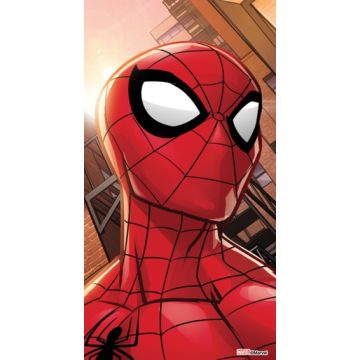 Felpa Toalla Disney Spiderman Rojo