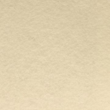 Fieltro Fieltro Liso Hueso