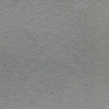 Fieltro Fieltro Liso Gris Perla